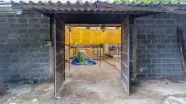 danei-farm-part-3-15.jpg