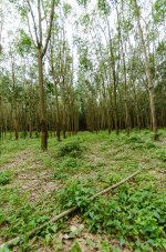 danei-farm-part-4-3.jpg