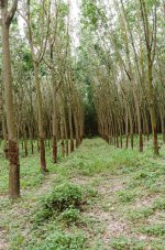 danei-farm-part-4-6.jpg