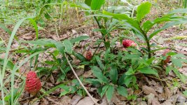 danei-farm-part-4-11.jpg