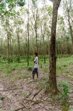 danei-farm-part-4-14.jpg