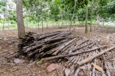 danei-farm-part-5-9.jpg