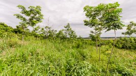 danei-farm-part-5-21.jpg