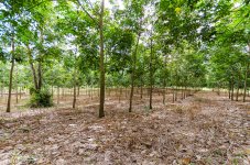 danei-farm-part-5-27.jpg