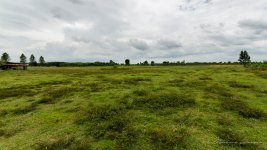 danei-farm-part-6-40.jpg