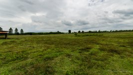 danei-farm-part-6-41.jpg