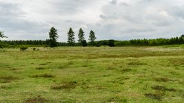 danei-farm-part-6-45.jpg