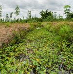 danei-farm-part-6-50.jpg