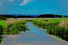 D71_5852-2.jpg