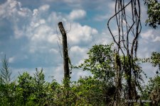 D71_5866-Edit.jpg