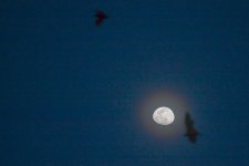 20150826-20150826-SHM_2724.jpg
