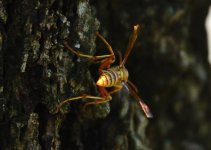 26th Aug 2015 001.JPG