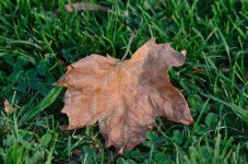 26th Aug 2015 016.JPG