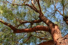 26th Aug 2015 036.JPG