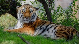 DSC_0640-2.jpg