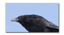 DSC_1413.jpg