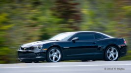 D71_5936-Edit.jpg