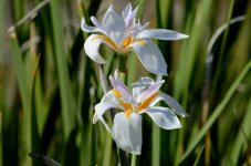 27th Aug 2015 012.JPG