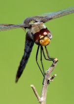 28th Aug 2015 010.JPG