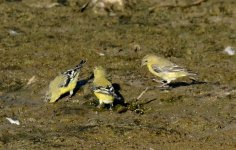 28th Aug 2015 041.JPG