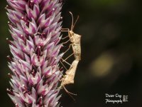 DSC_2514.jpg