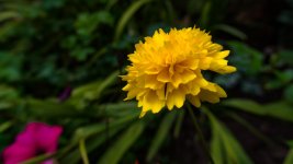DSC_0224.jpg