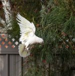 untitled-1-276.jpg