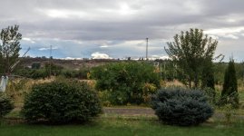 _6001545.jpg