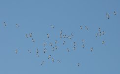 29th Aug 2015 013.JPG