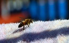 29th Aug 2015 043.JPG