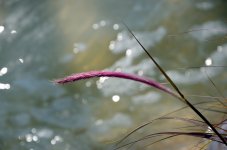 29th Aug 2015 050.JPG