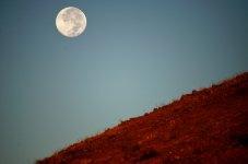 30th Aug 2015 003.JPG