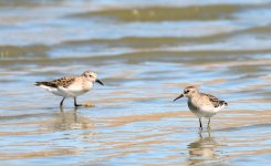 30th Aug 2015 019.JPG