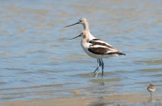 30th Aug 2015 024.JPG