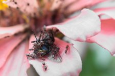 _DSC2941-Edit (1000x667).jpg