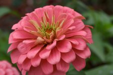 _DSC2908-Edit (1000x667).jpg