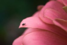 _DSC2912-Edit (1000x667).jpg