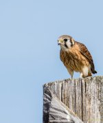 IVA_4078-Edit.jpg