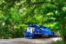 Train in the park.jpg