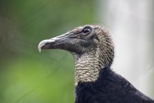DSC_5717_DxO.jpg
