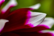 DSC_4871.jpg