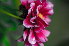DSC_4944.jpg