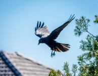 untitled-1-296.jpg