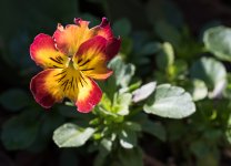 untitled-1-290.jpg