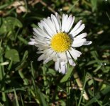 untitled-1-289.jpg