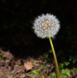 untitled-1-317.jpg