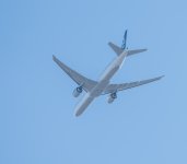 untitled-1-288.jpg