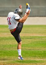 The Kicker.jpg