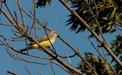 31st Aug 2015 011.JPG