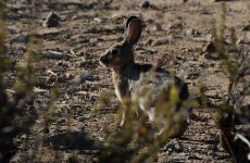 31st Aug 2015 012.JPG